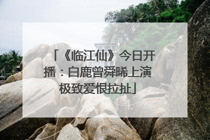 《临江仙》今日开播：白鹿曾舜晞上演极致爱恨拉扯