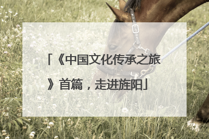 《中国文化传承之旅》首篇，走进旌阳
