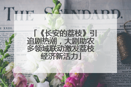 《长安的荔枝》引追剧热潮，大剧助农多领域联动激发荔枝经济新活力