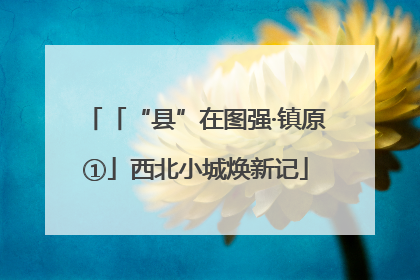 「“县”在图强·镇原①」西北小城焕新记