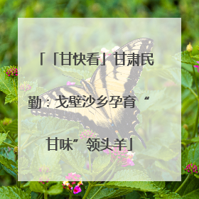 「甘快看」甘肃民勤：戈壁沙乡孕育“甘味”领头羊