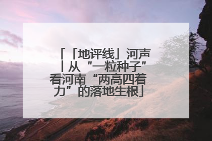 「地评线」河声丨从“一粒种子”看河南“两高四着力”的落地生根