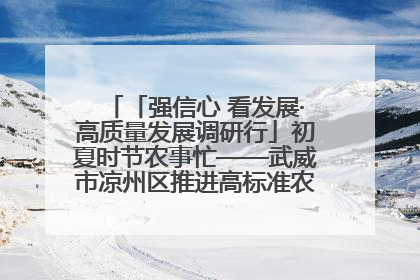 「强信心 看发展·高质量发展调研行」初夏时节农事忙——武威市凉州区推进高标准农田建设见闻