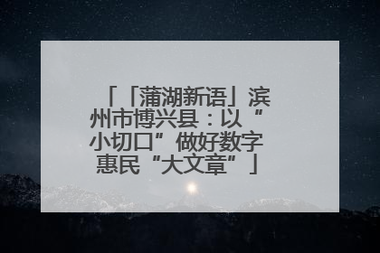 「蒲湖新语」滨州市博兴县：以“小切口”做好数字惠民“大文章”