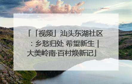 「视频」汕头东湖社区：乡愁归处 希望新生｜大美岭南·百村焕新记