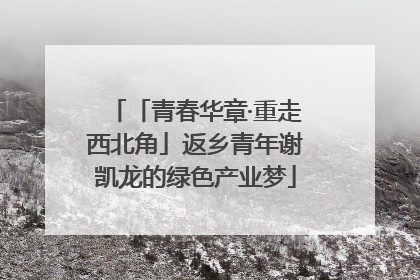 「青春华章·重走西北角」返乡青年谢凯龙的绿色产业梦