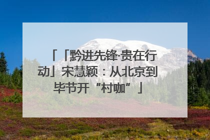 「黔进先锋·贵在行动」宋慧颖：从北京到毕节开“村咖”