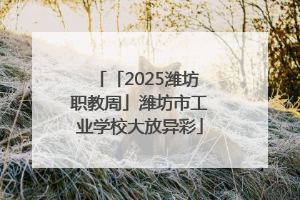 「2025潍坊职教周」潍坊市工业学校大放异彩