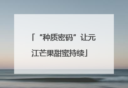 “种质密码”让元江芒果甜蜜持续