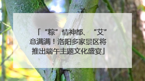 “粽”情神都、“艾”意满满！洛阳多家景区将推出端午主题文化盛宴