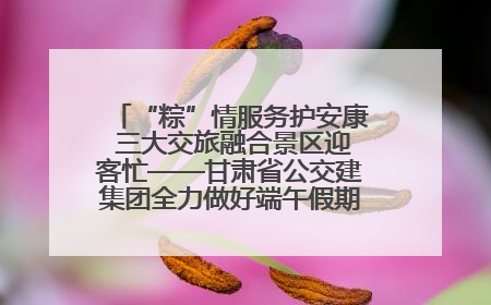“粽”情服务护安康 三大交旅融合景区迎客忙——甘肃省公交建集团全力做好端午假期景区运营工作