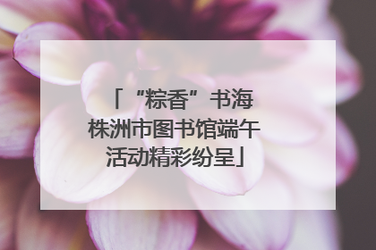 “粽香”书海 株洲市图书馆端午活动精彩纷呈