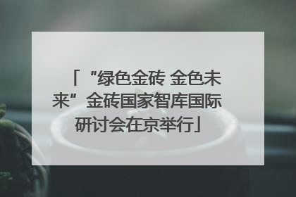 “绿色金砖 金色未来”金砖国家智库国际研讨会在京举行