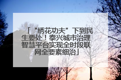 “绣花功夫”下到民生要处！泰兴城市治理智慧平台实现全时段联网全要素细治