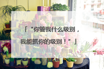 “你管我什么级别，我能抓你的级别！”