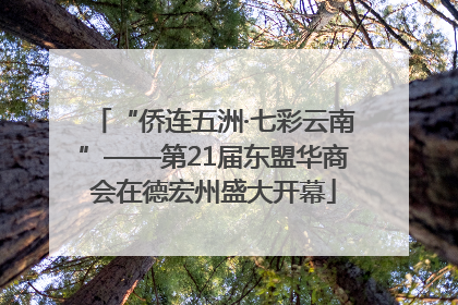 “侨连五洲·七彩云南”——第21届东盟华商会在德宏州盛大开幕
