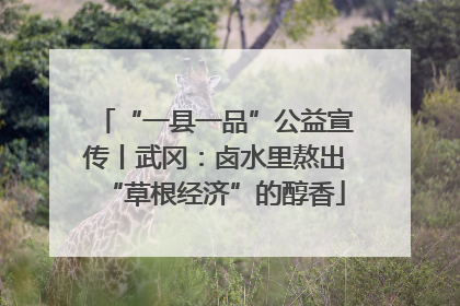 “一县一品”公益宣传丨武冈：卤水里熬出“草根经济”的醇香