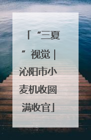 “三夏”视觉｜沁阳市小麦机收圆满收官