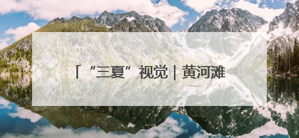 “三夏”视觉｜黄河滩区麦田大面积收割开启