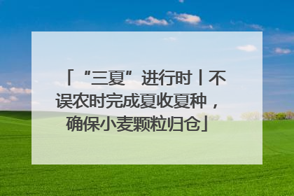 “三夏”进行时丨不误农时完成夏收夏种，确保小麦颗粒归仓
