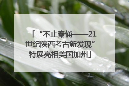 “不止秦俑——21世纪陕西考古新发现”特展亮相美国加州