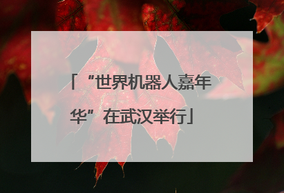 “世界机器人嘉年华”在武汉举行