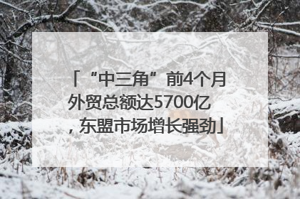 “中三角”前4个月外贸总额达5700亿，东盟市场增长强劲