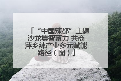 “中国辣都”主题沙龙集智聚力 共商萍乡辣产业多元赋能路径（图）