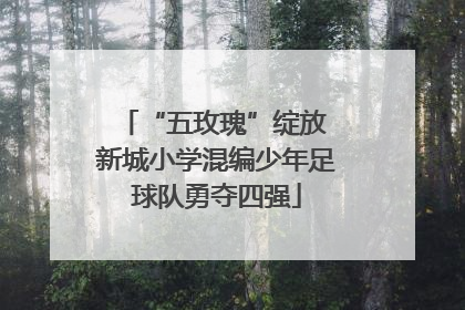 “五玫瑰”绽放 新城小学混编少年足球队勇夺四强