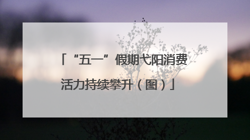“五一”假期弋阳消费活力持续攀升（图）