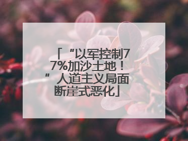 “以军控制77%加沙土地！”人道主义局面断崖式恶化