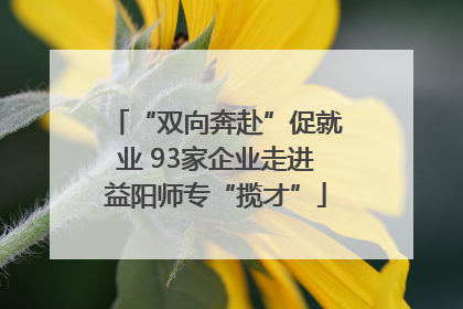 “双向奔赴”促就业 93家企业走进益阳师专“揽才”