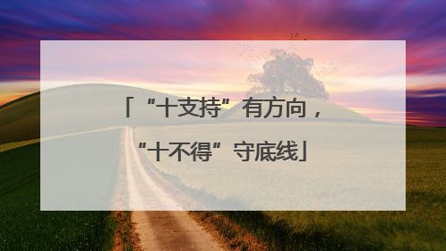 “十支持”有方向，“十不得”守底线
