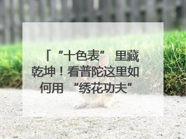 “十色表” 里藏乾坤！看普陀这里如何用 “绣花功夫” 织就社区治理