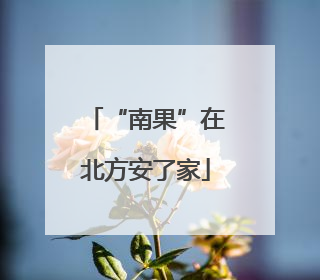 “南果”在北方安了家