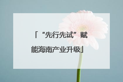 “先行先试”赋能海南产业升级
