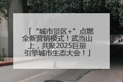 “城市景区+”点燃全新营销模式！武当山上，共聚2025巨量引擎城市生态大会！