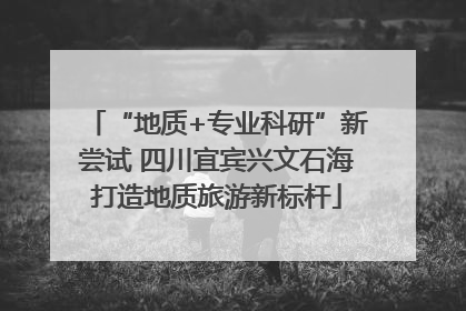 “地质+专业科研”新尝试 四川宜宾兴文石海打造地质旅游新标杆