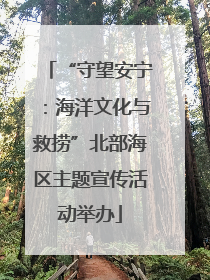 “守望安宁：海洋文化与救捞”北部海区主题宣传活动举办