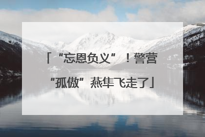 “忘恩负义”！警营“孤傲”燕隼飞走了