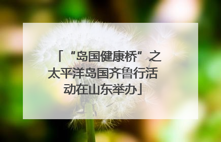 “岛国健康桥”之太平洋岛国齐鲁行活动在山东举办