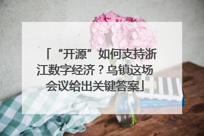 “开源”如何支持浙江数字经济？乌镇这场会议给出关键答案
