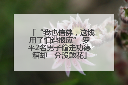 “我也信佛，这钱用了怕遭报应” 罗平2名男子偷走功德箱却一分没敢花