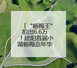 “杨梅王”拍出6.6万！建阳首届小湖杨梅嘉年华酸甜出圈！