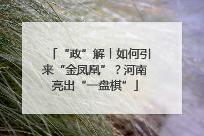 “政”解丨如何引来“金凤凰”？河南亮出“一盘棋”