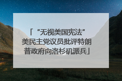 “无视美国宪法” 美民主党议员批评特朗普政府向洛杉矶派兵