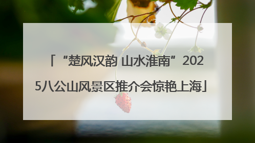 “楚风汉韵 山水淮南”2025八公山风景区推介会惊艳上海