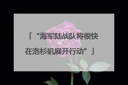 “海军陆战队将很快在洛杉矶展开行动”