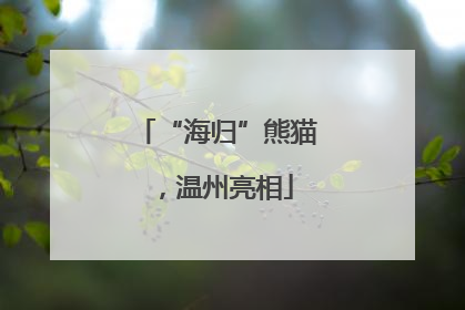 “海归”熊猫，温州亮相
