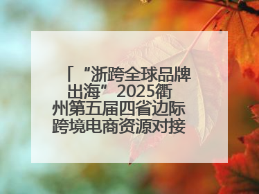 “浙跨全球品牌出海”2025衢州第五届四省边际跨境电商资源对接活动成功举办